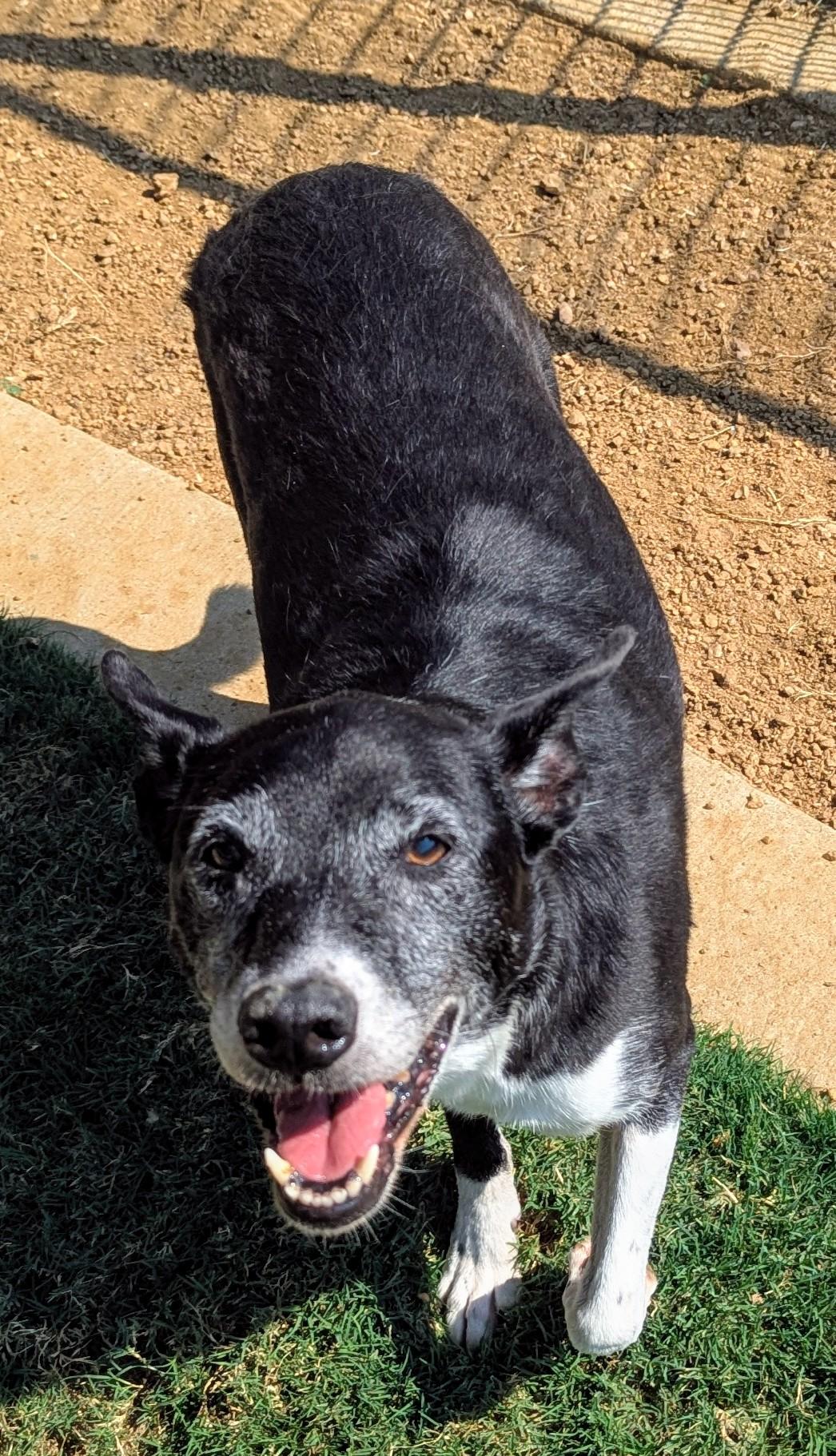 Bella* A212488