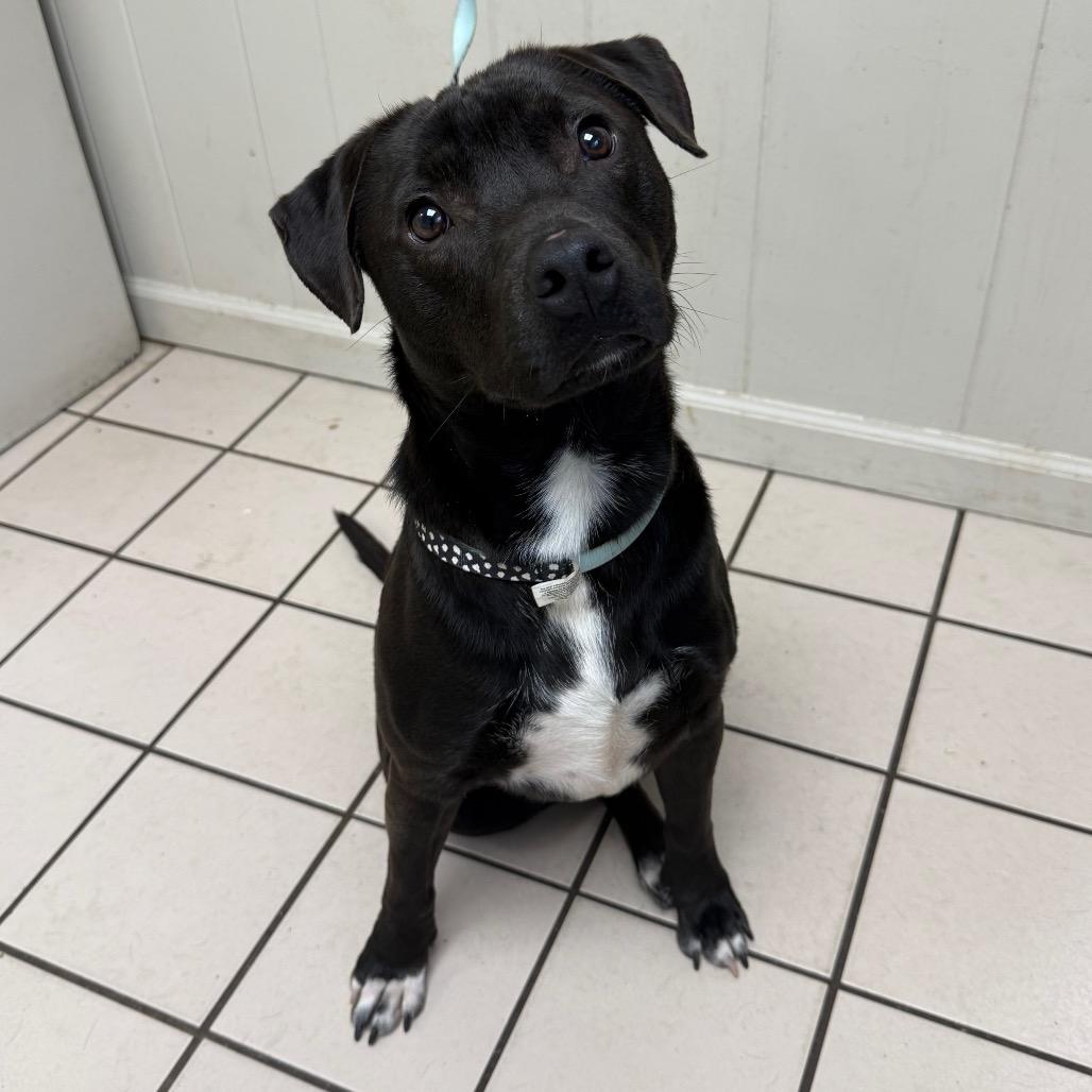 Patrick — thumbnail 2