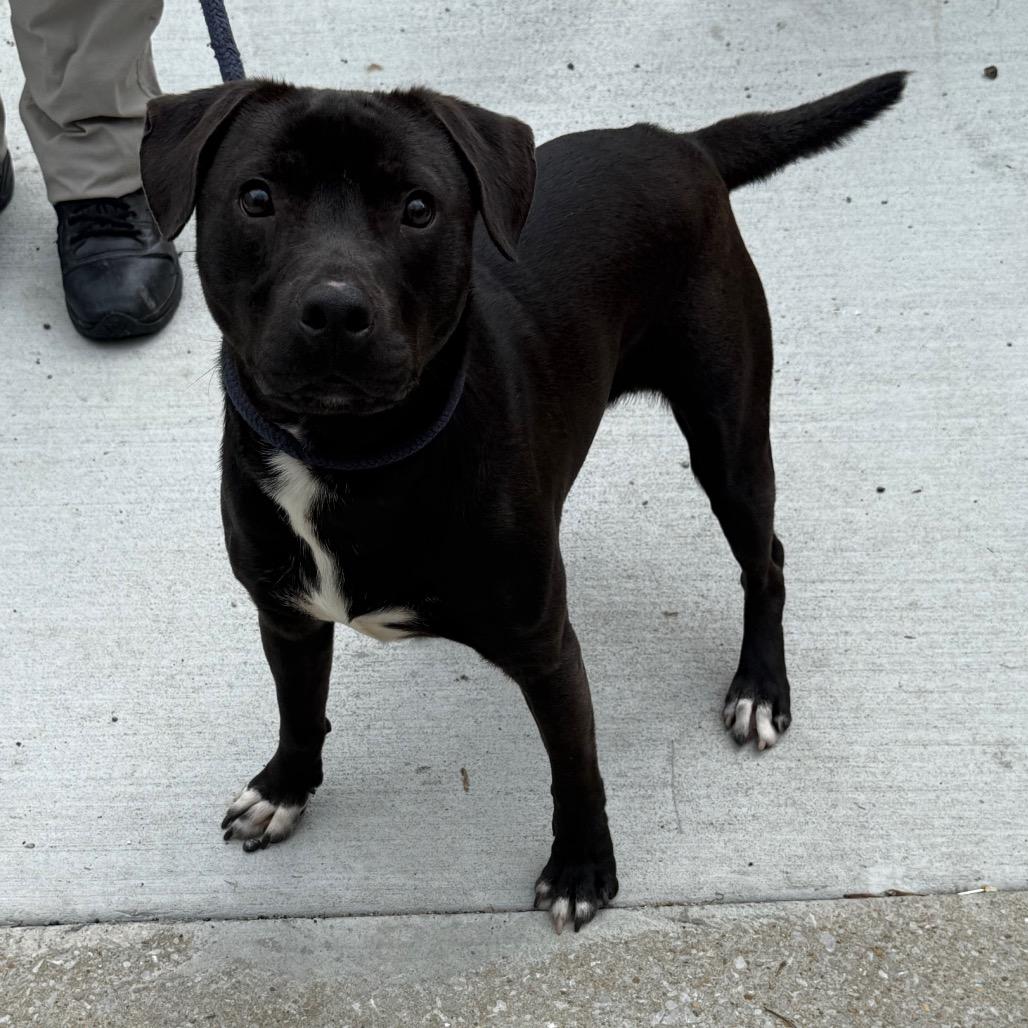 Patrick — thumbnail 3