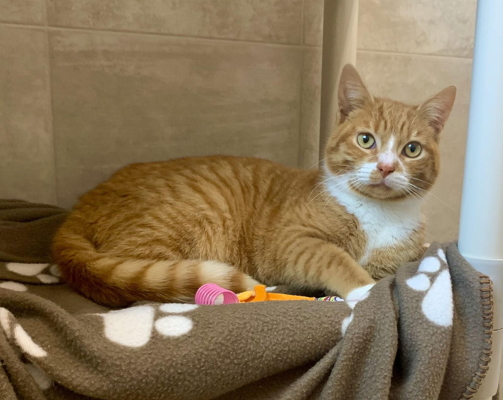 Timmy — thumbnail 3