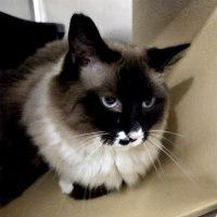 BOOTS — thumbnail 2