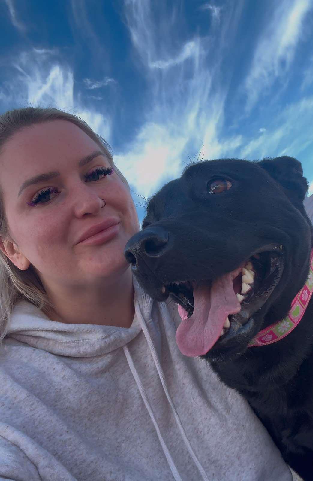 Wisteria aka Zyra, an adopted mixed breed in Phoenix, AZ image 5/6