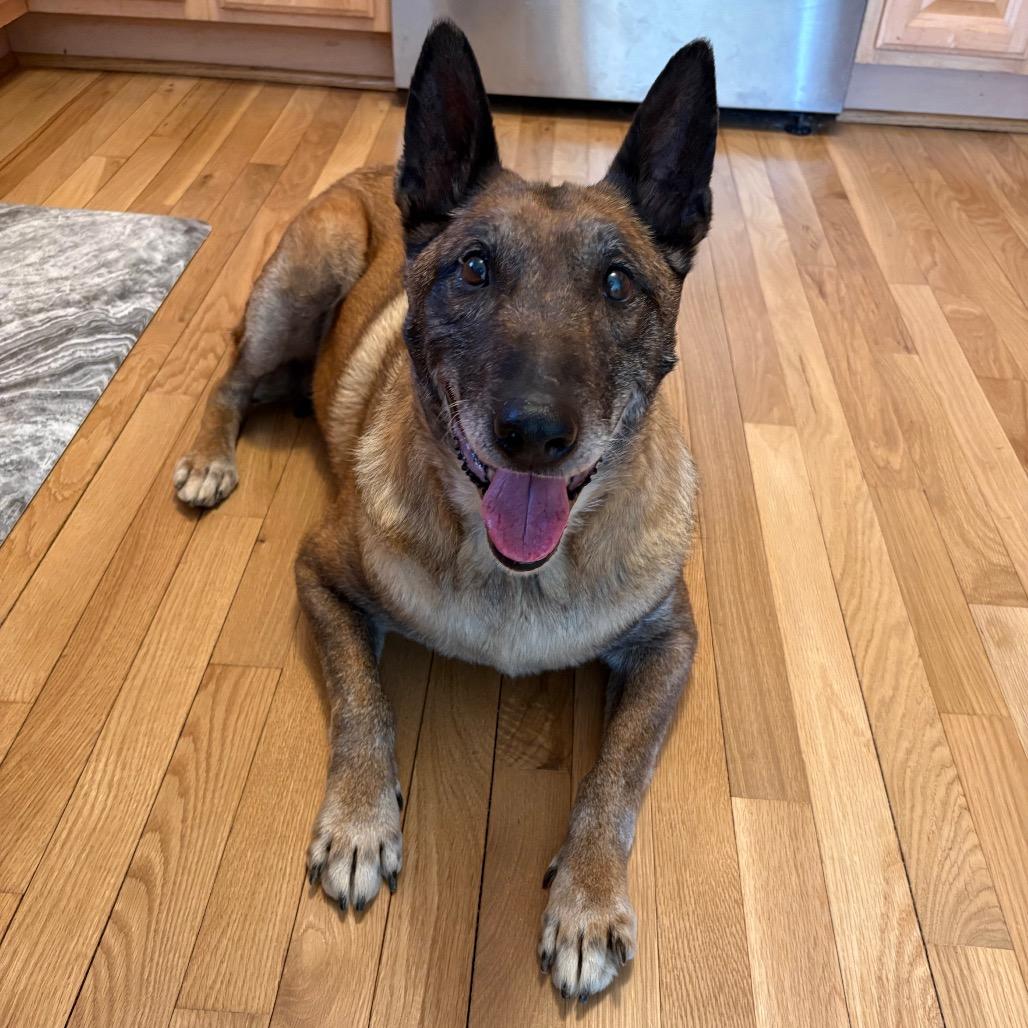 Big Momma — thumbnail 2