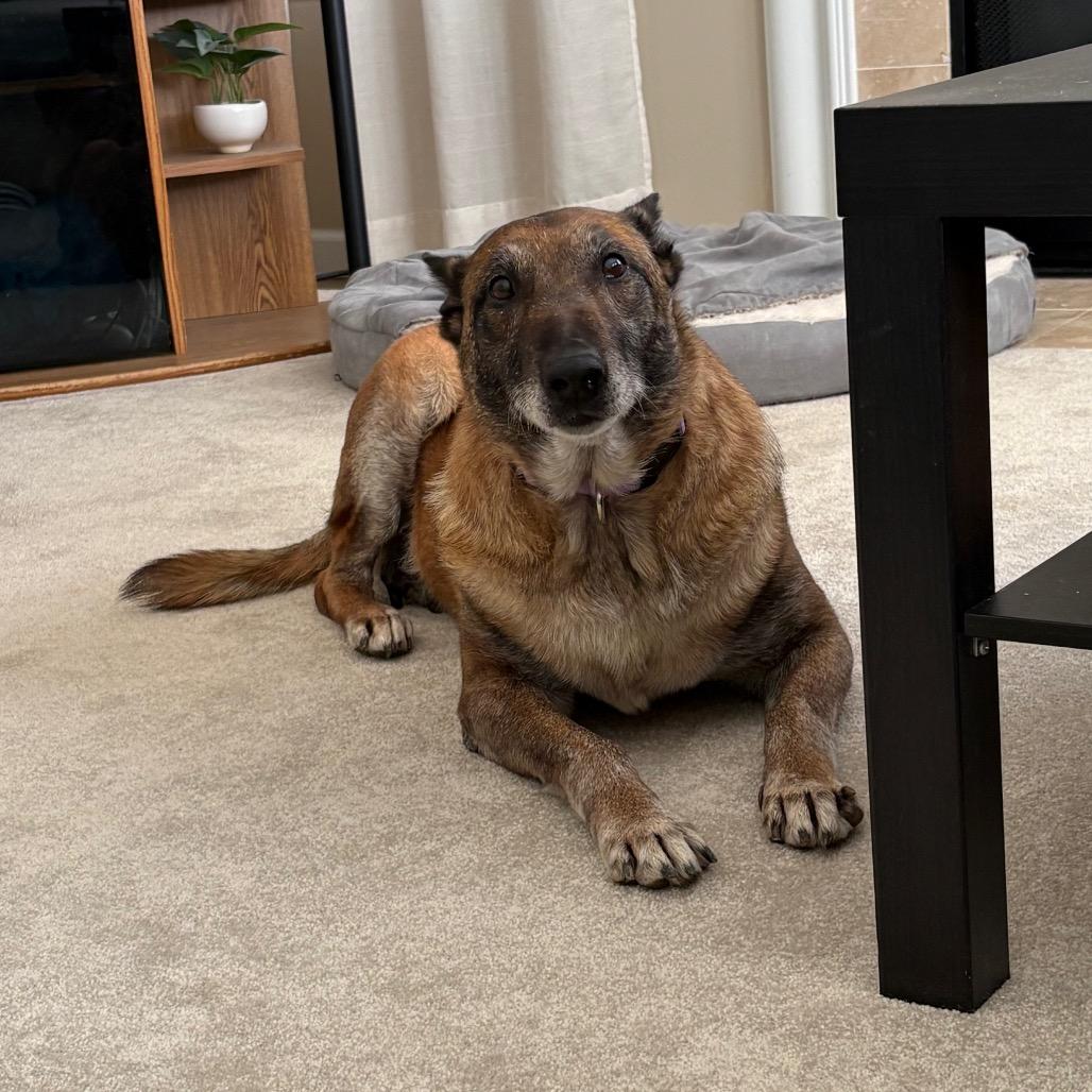 Big Momma — thumbnail 3