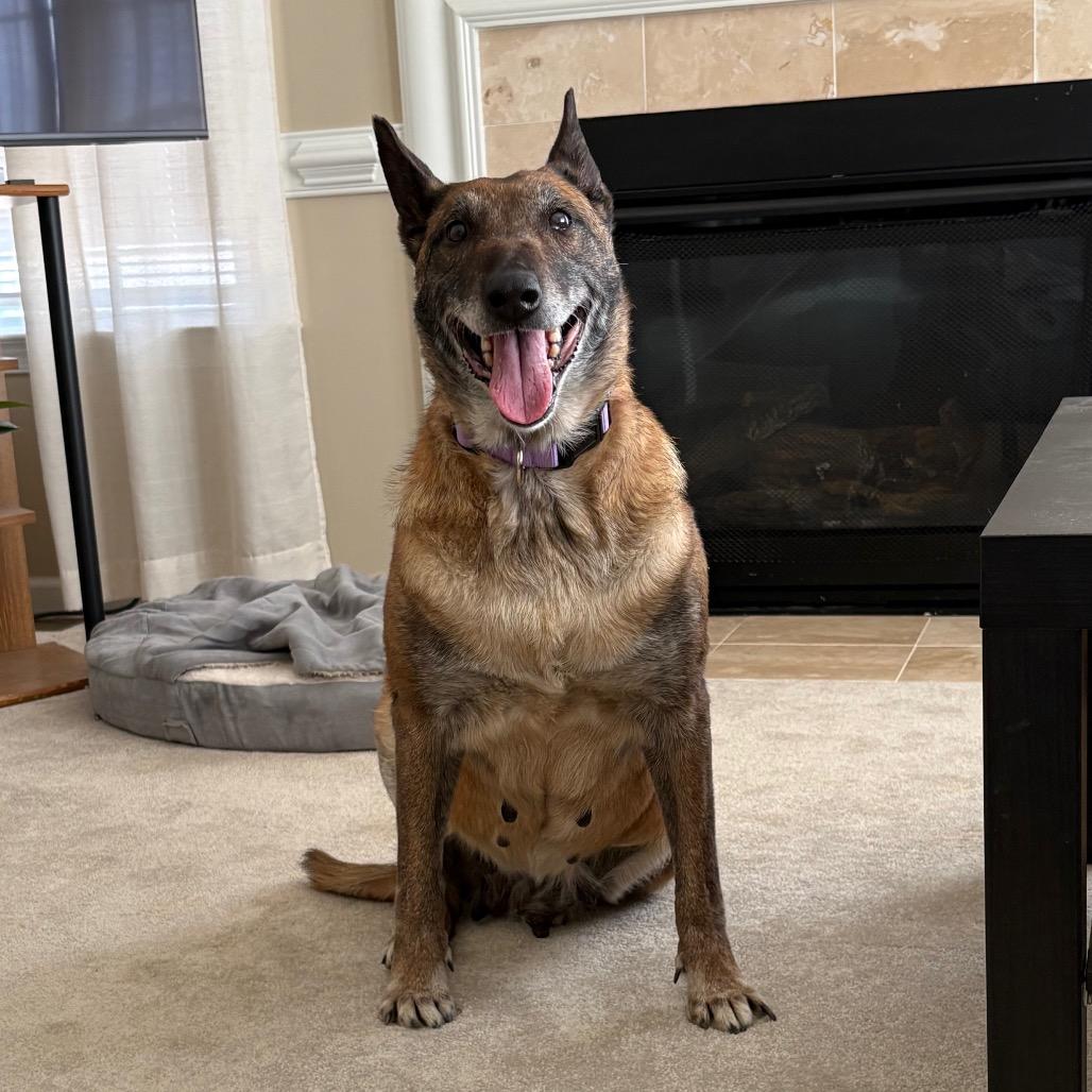 Big Momma — thumbnail 4