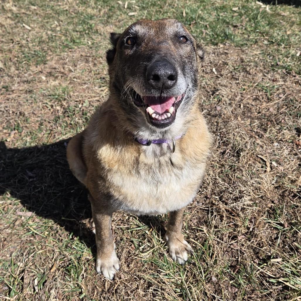 Big Momma — thumbnail 5