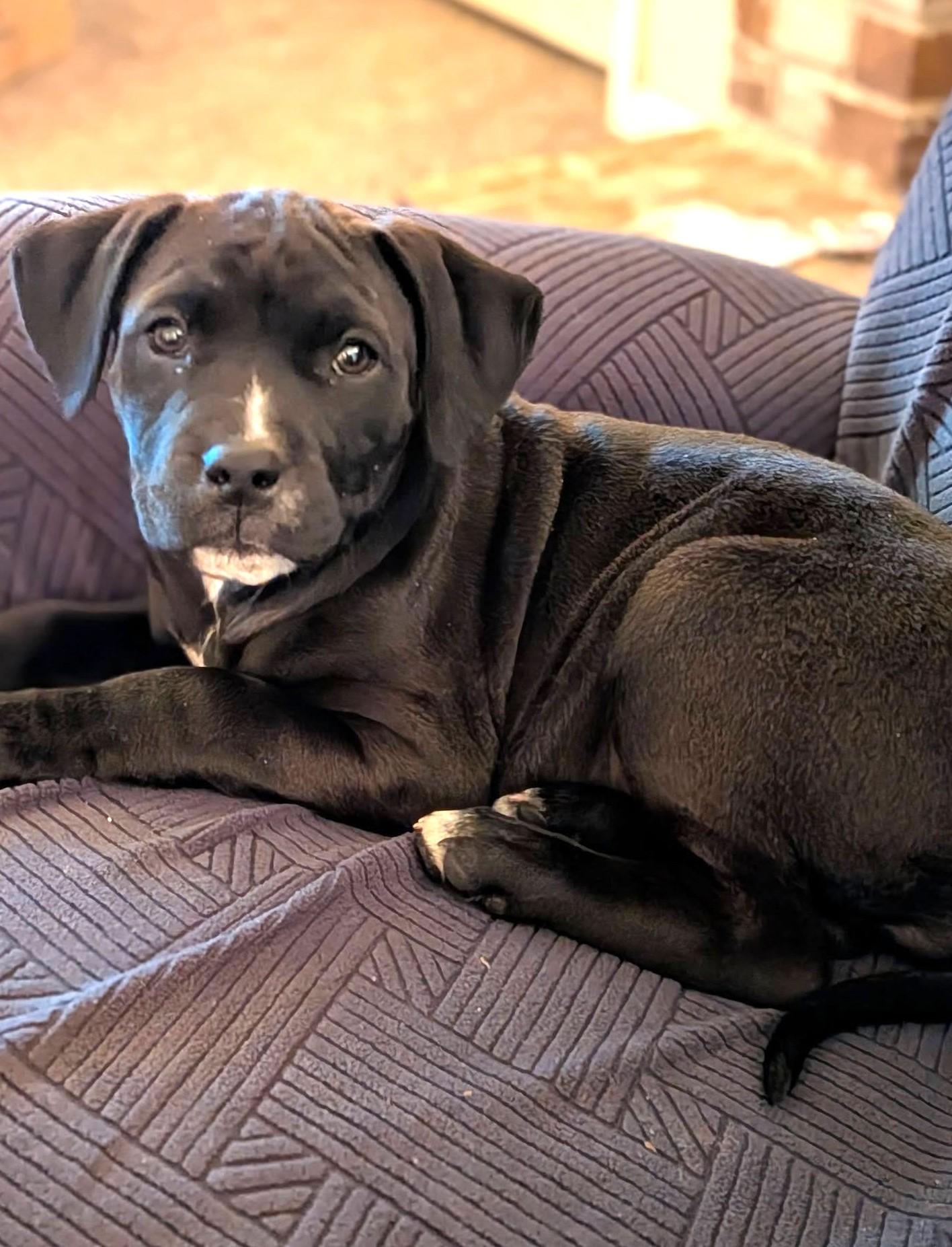 Blossom — thumbnail 6