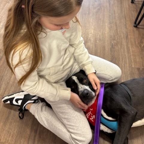 Freeway — thumbnail 3