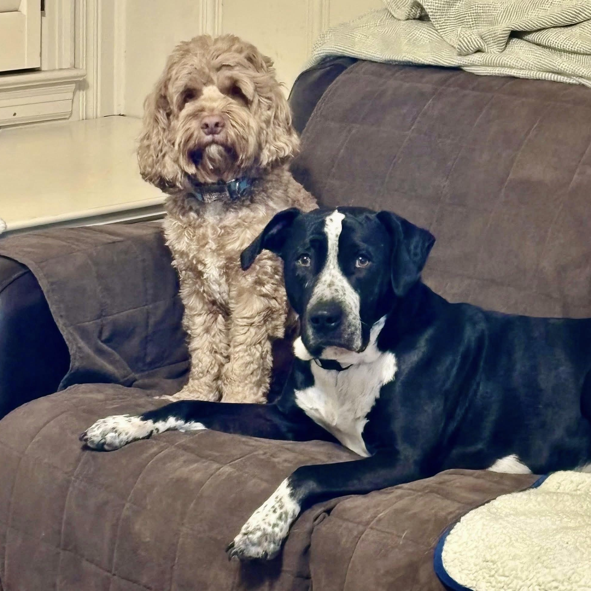 Freeway — thumbnail 4