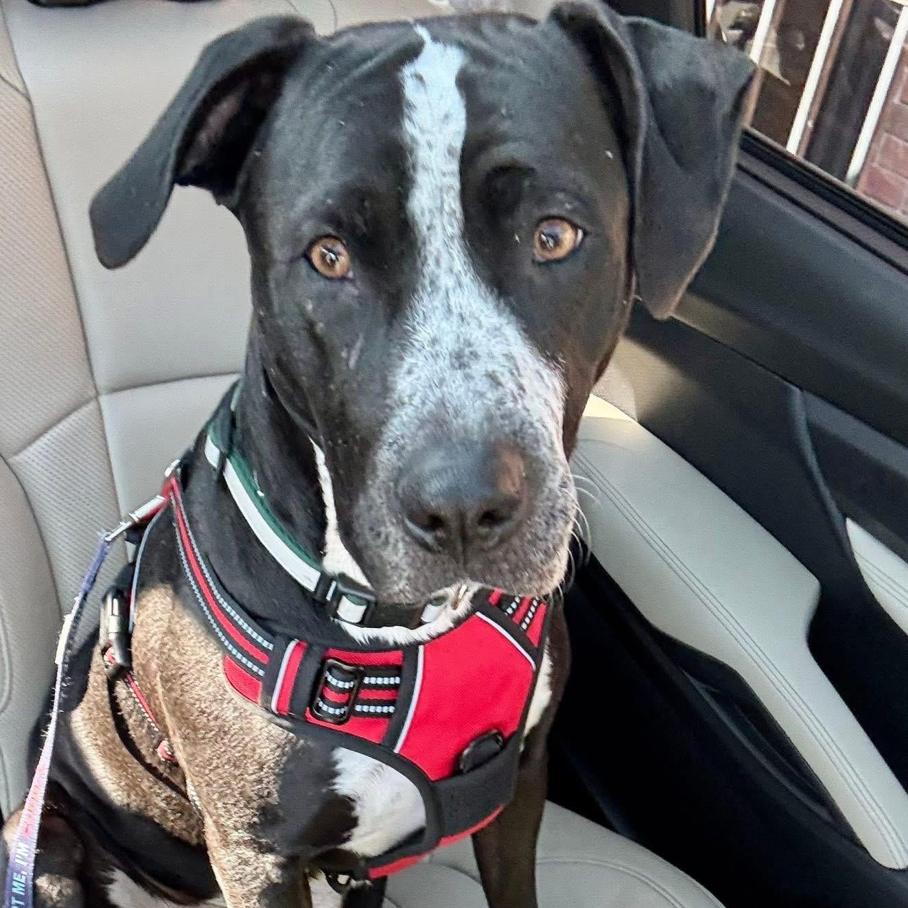 Freeway — thumbnail 5