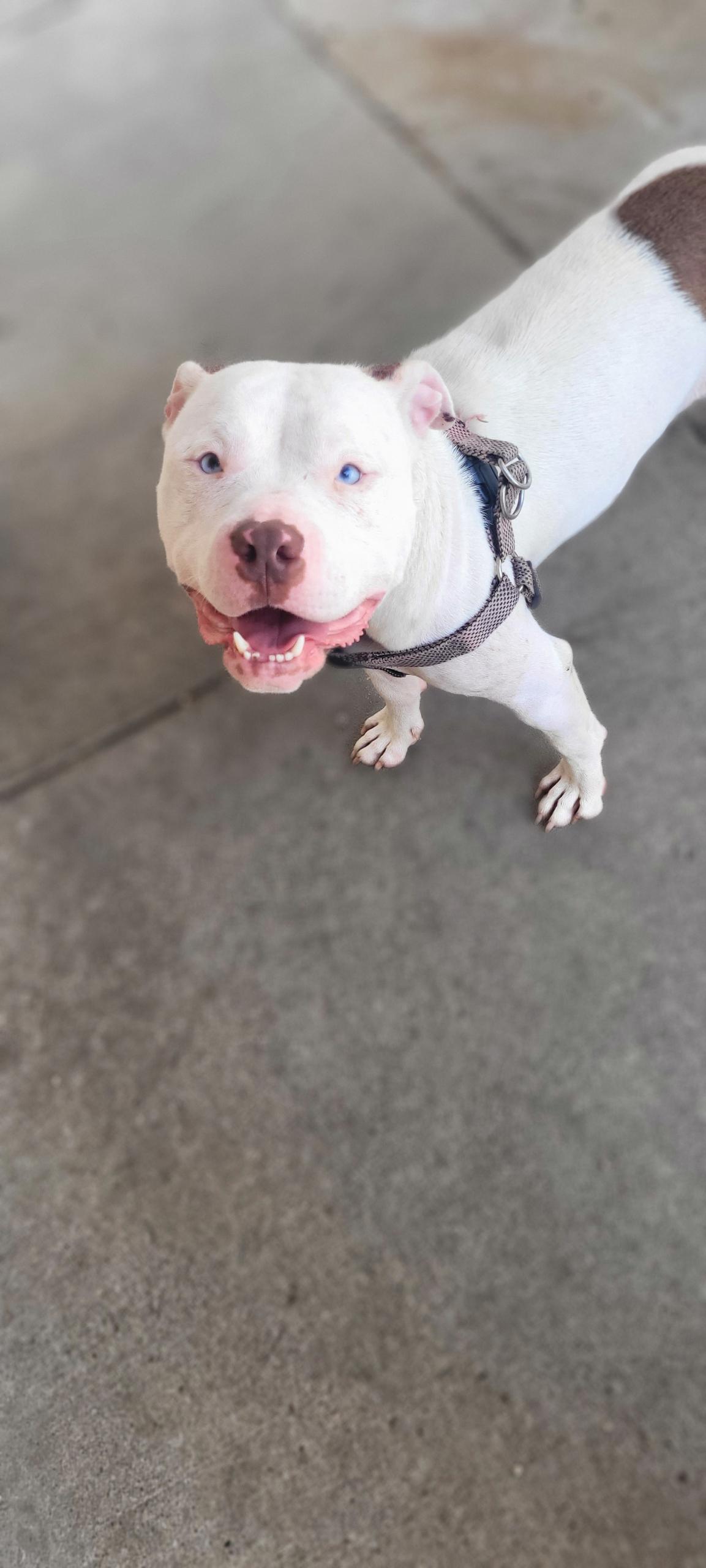 Chloe