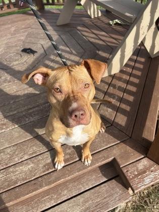 Rosetta — thumbnail 2