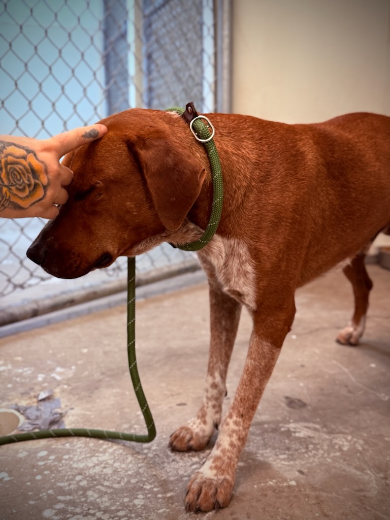 Copper
