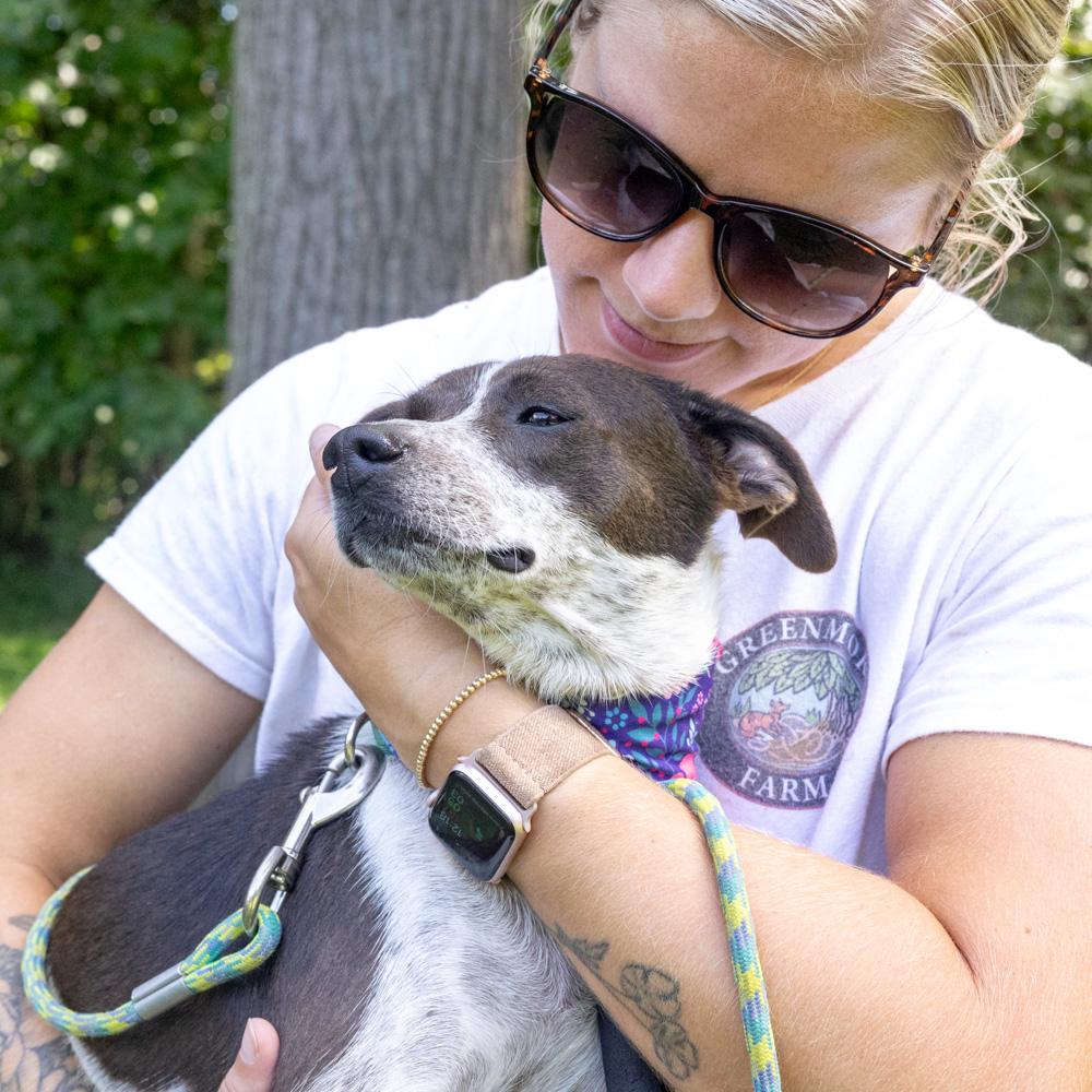 Enlarge Frisky (Female), a Adopted mixed breed in West Grove, PA image 6/6