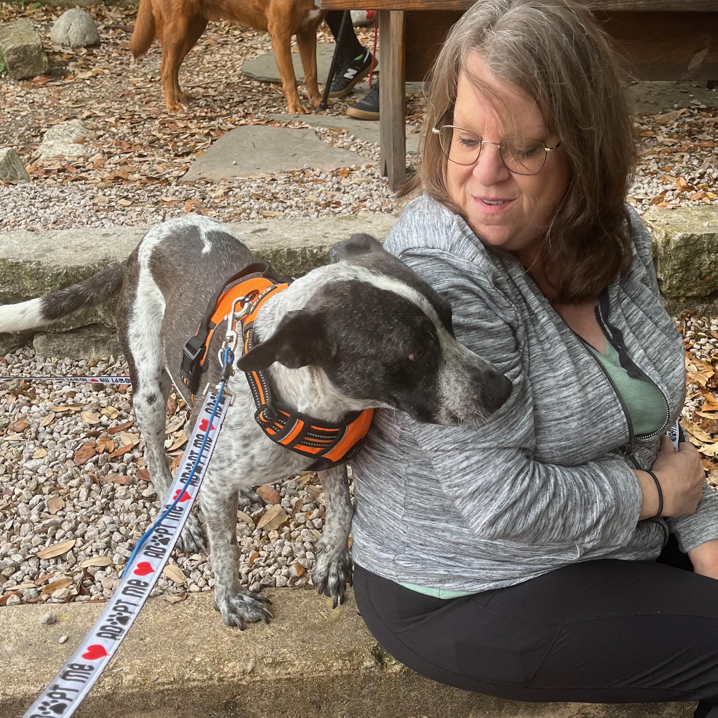 Domino, a Adoptable mixed breed in Austin, TX image 6/6