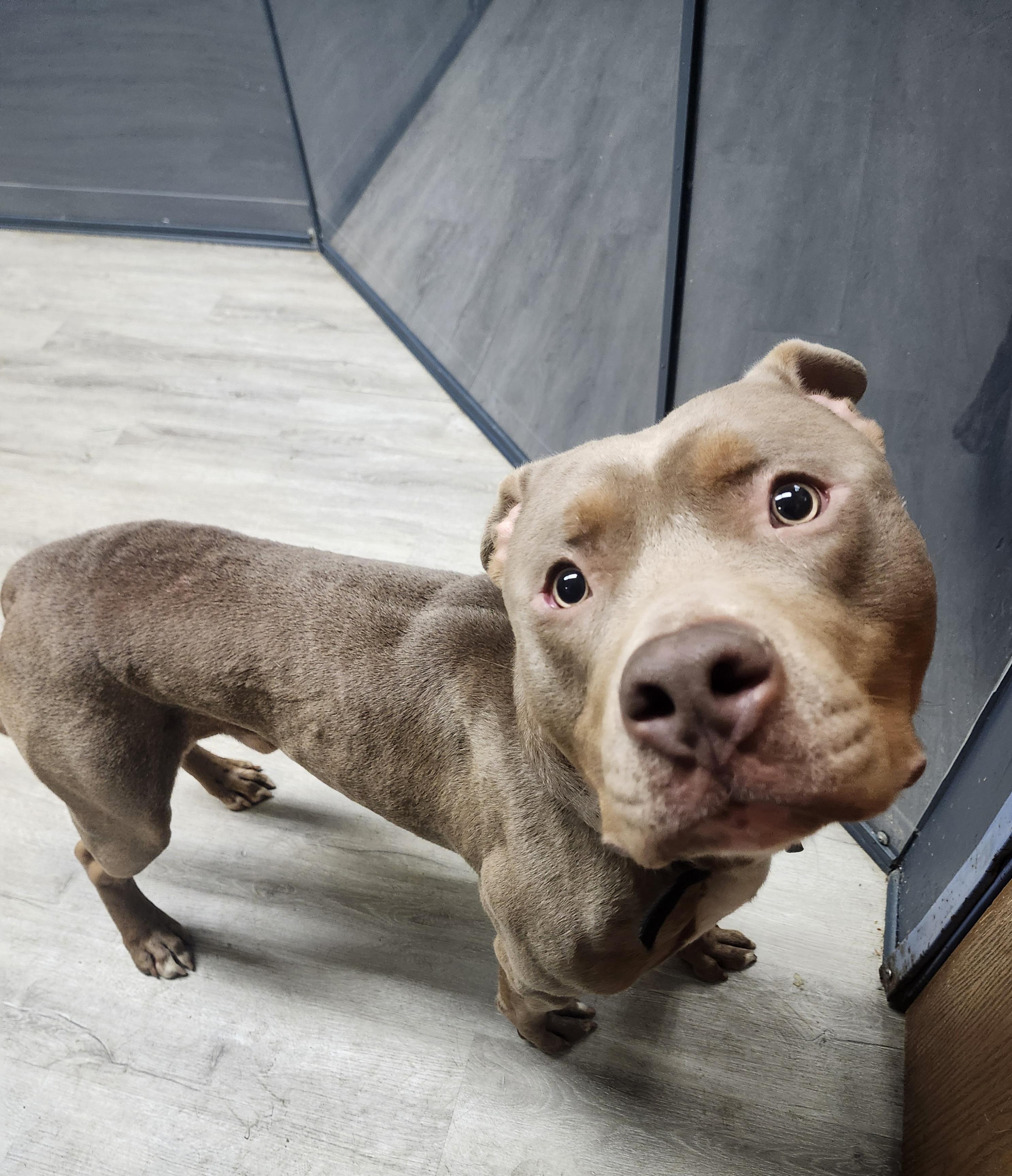 Winston Furchill thumbnail 2