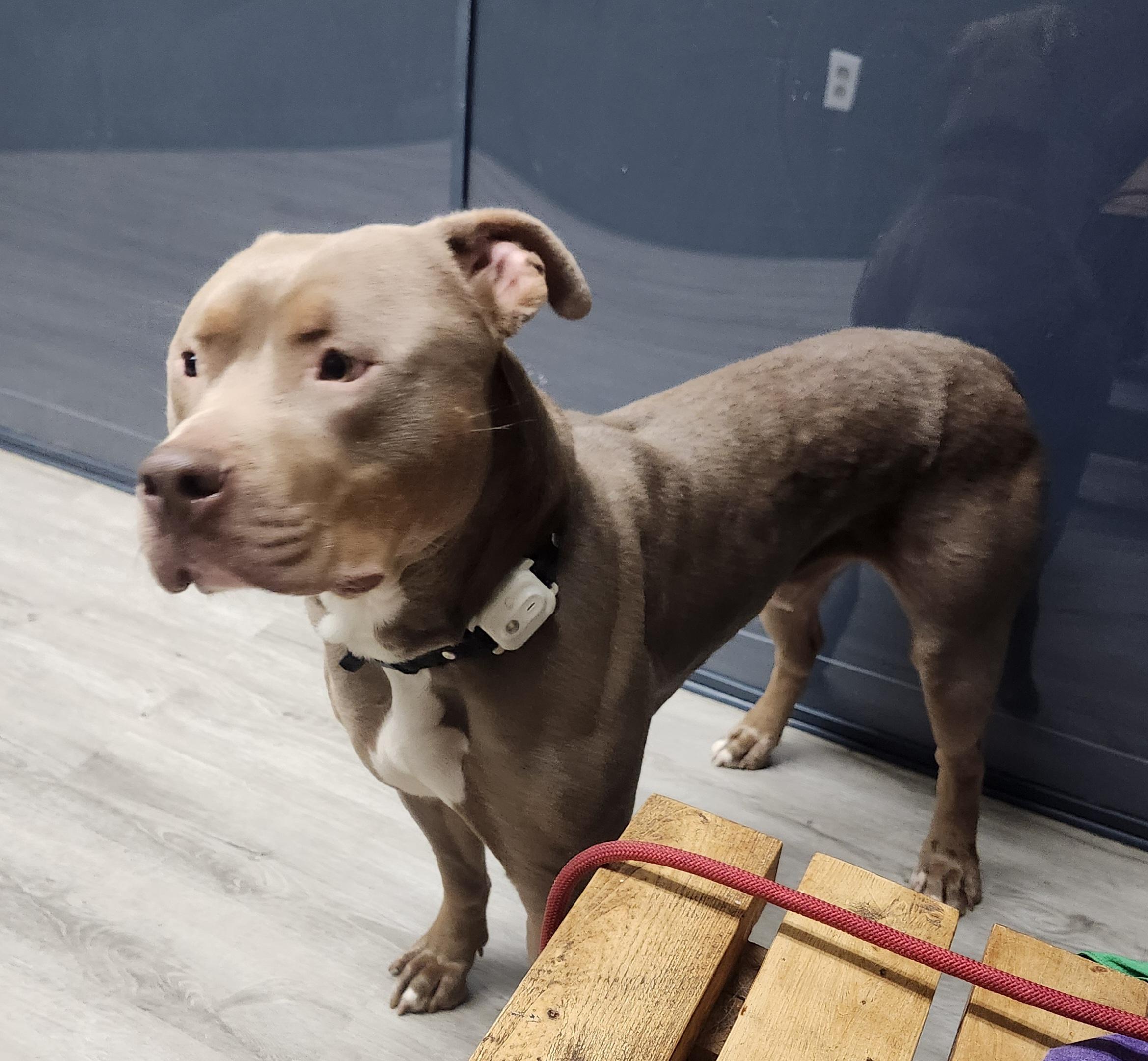 Winston Furchill thumbnail 3