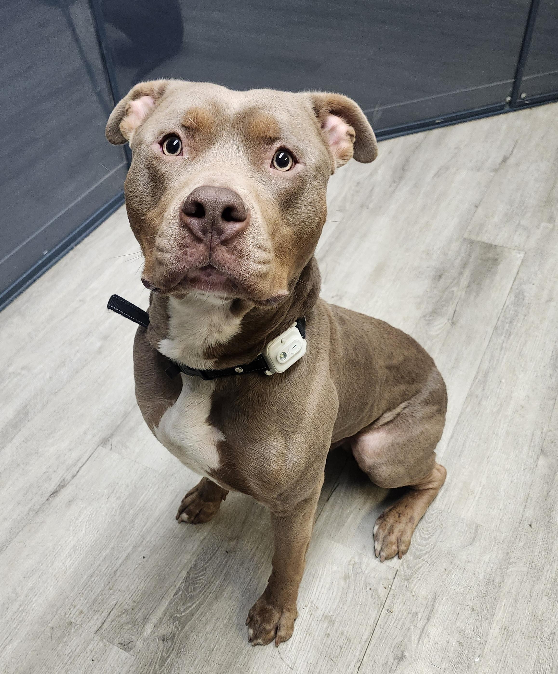 Winston Furchill thumbnail 4