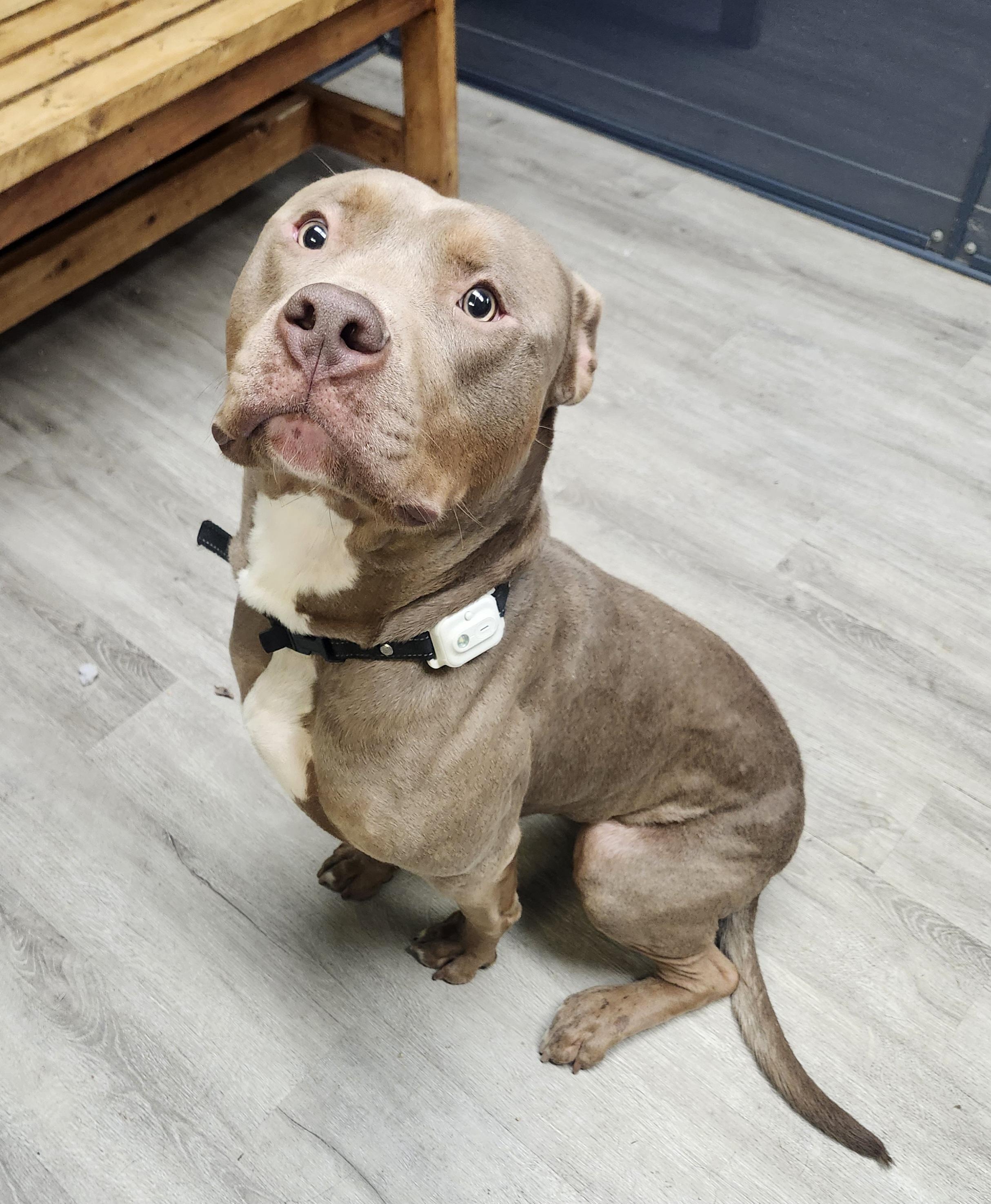 Winston Furchill thumbnail 5