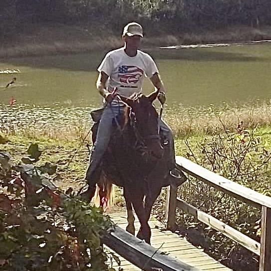 Aragon, Adoptable, Senior Male Quarterhorse.