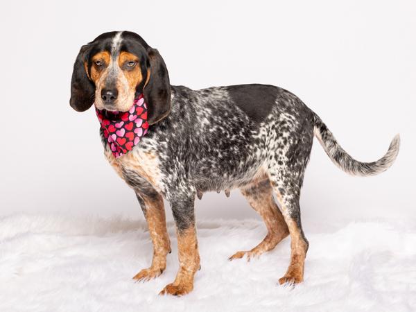 Adora — thumbnail 2