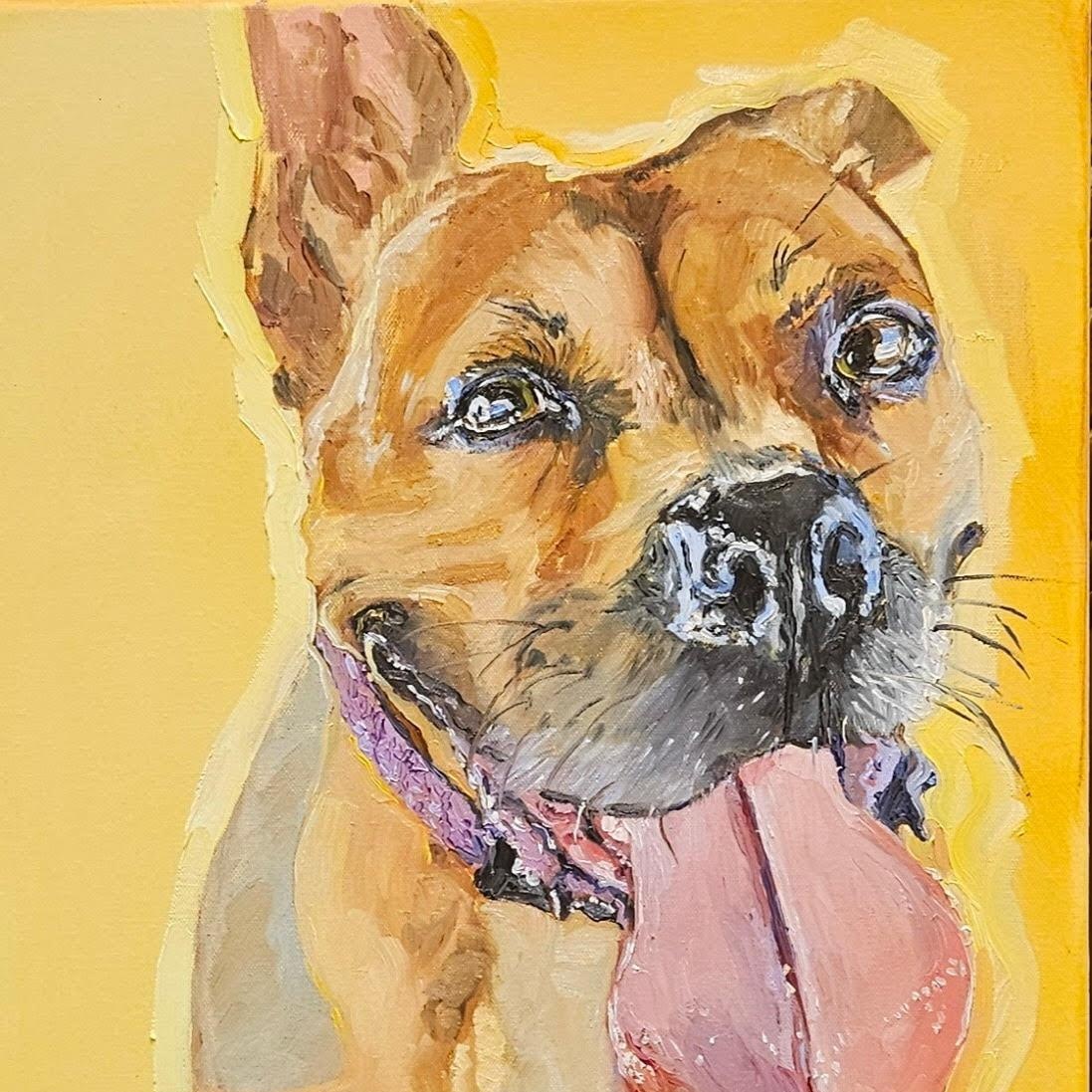 Enlarge Portia, a Adoptable Pit Bull Terrier in Silver Spring, MD image 1/4