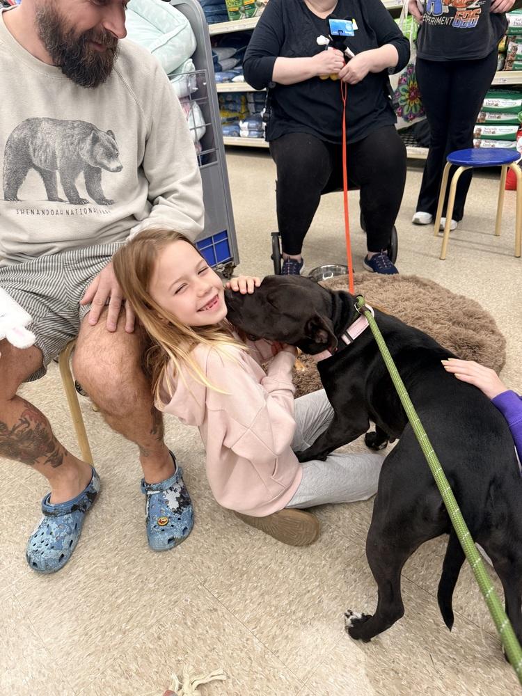 Matilda, a Adoptable mixed breed in Lancaster, PA image 3/6