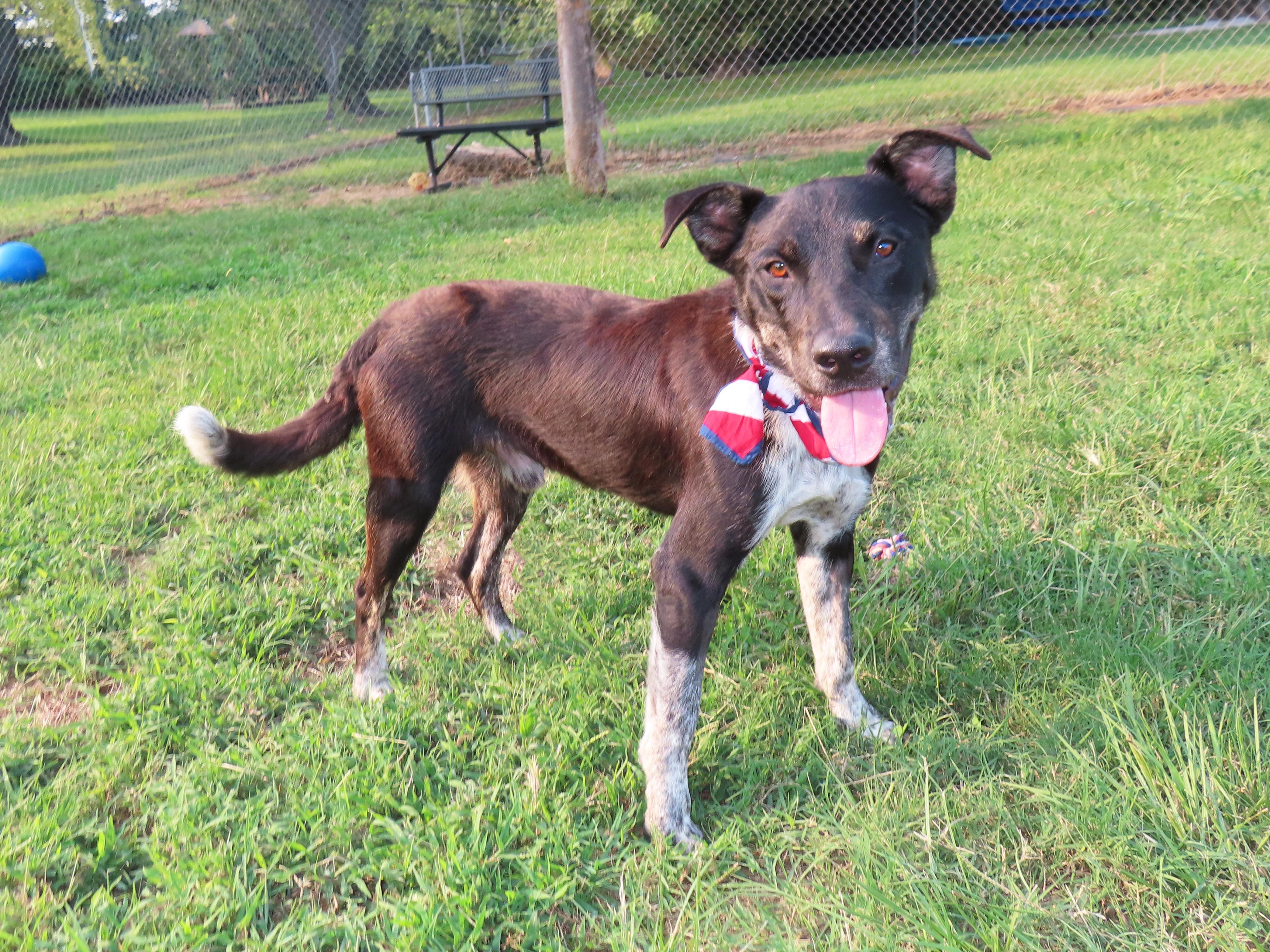 Sundance Kid  25C-221A