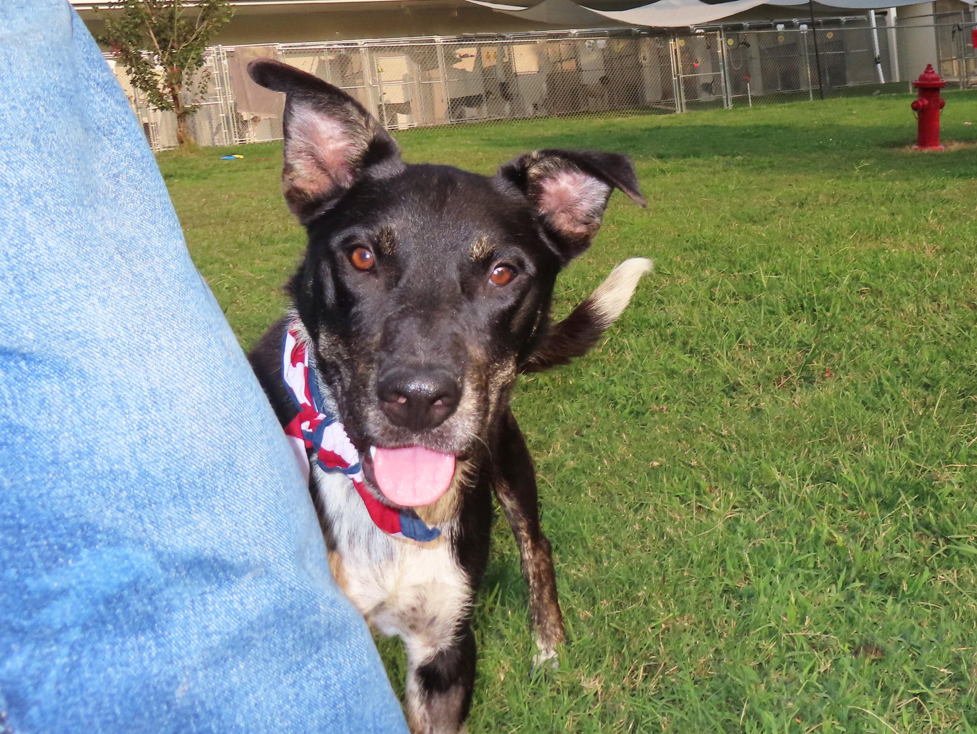 Sundance Kid  25C-221A