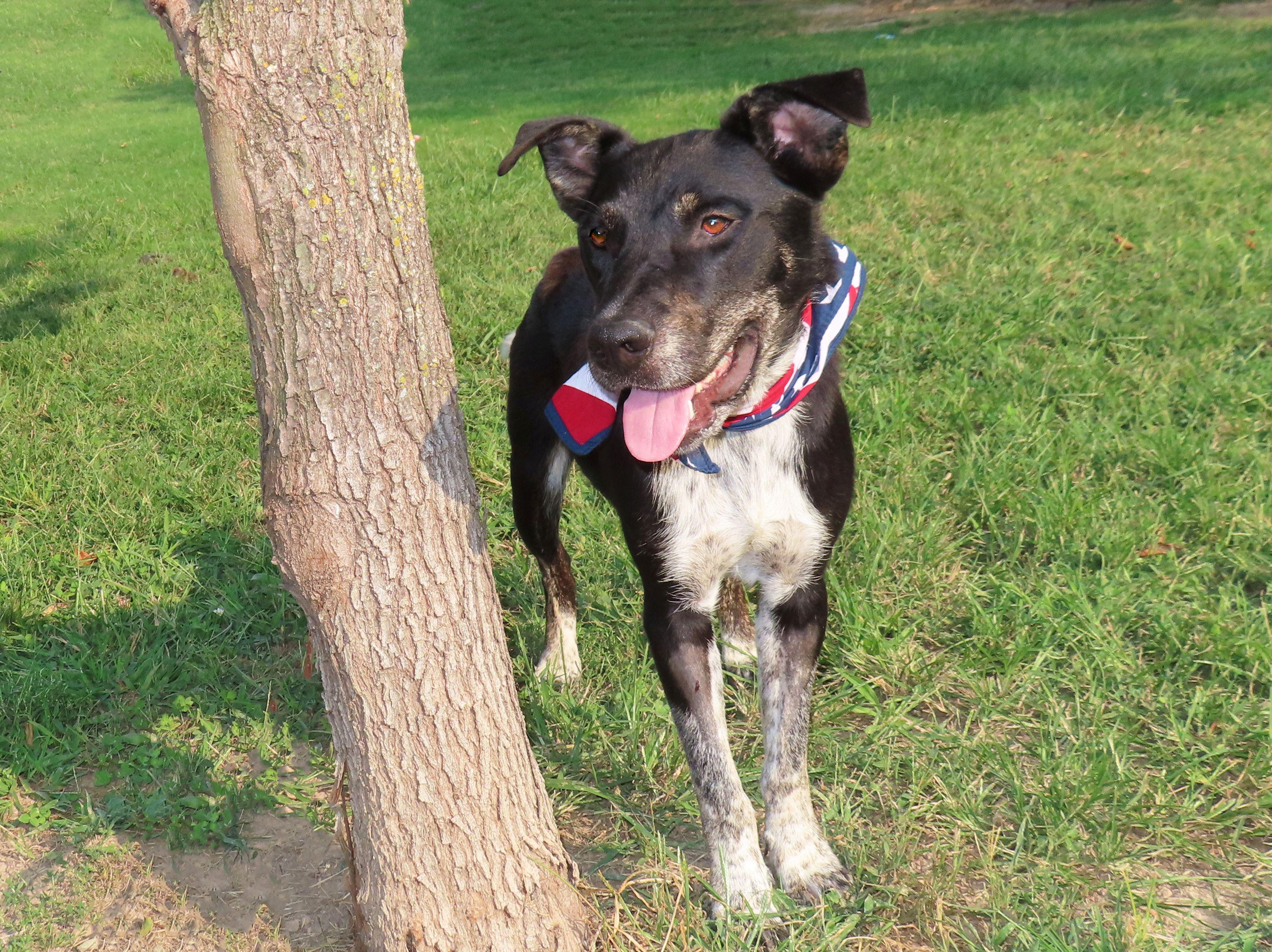 Sundance Kid  25C-221A