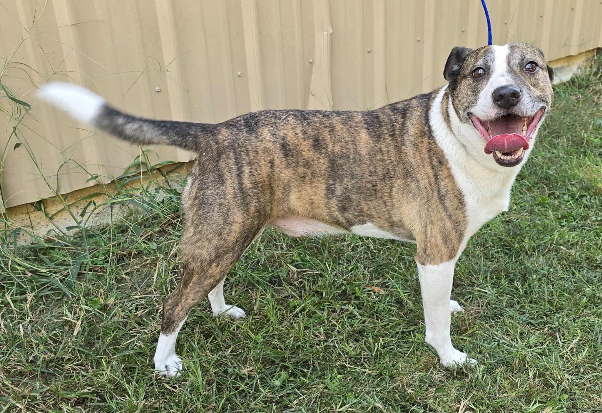 Tommy *foster needed*