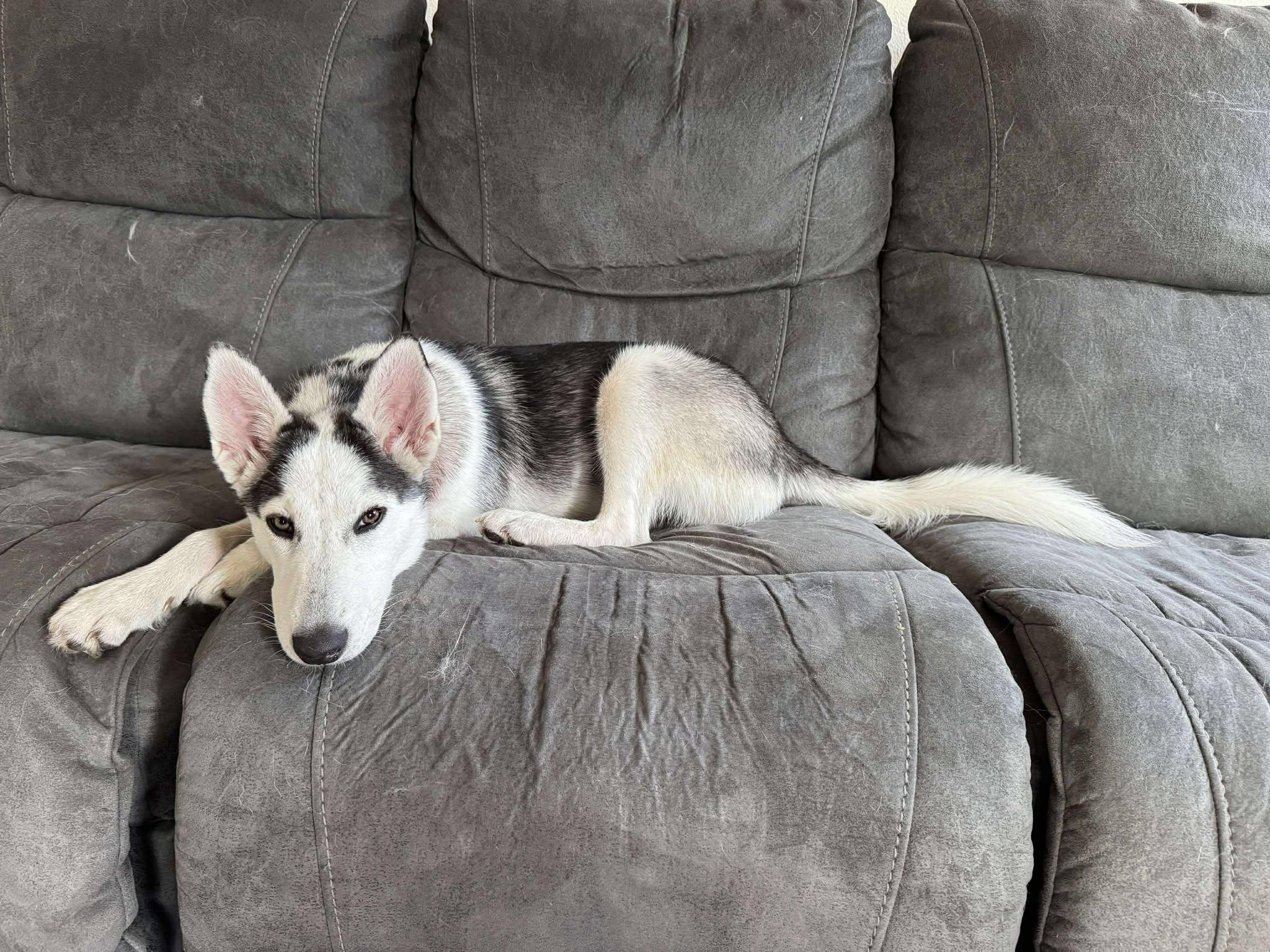 Khalessi
