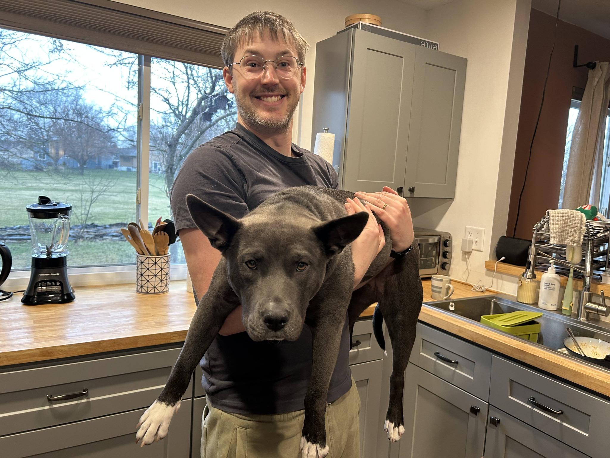 Enlarge Eve, a Adoptable mixed breed in Troy, MI image 4/6