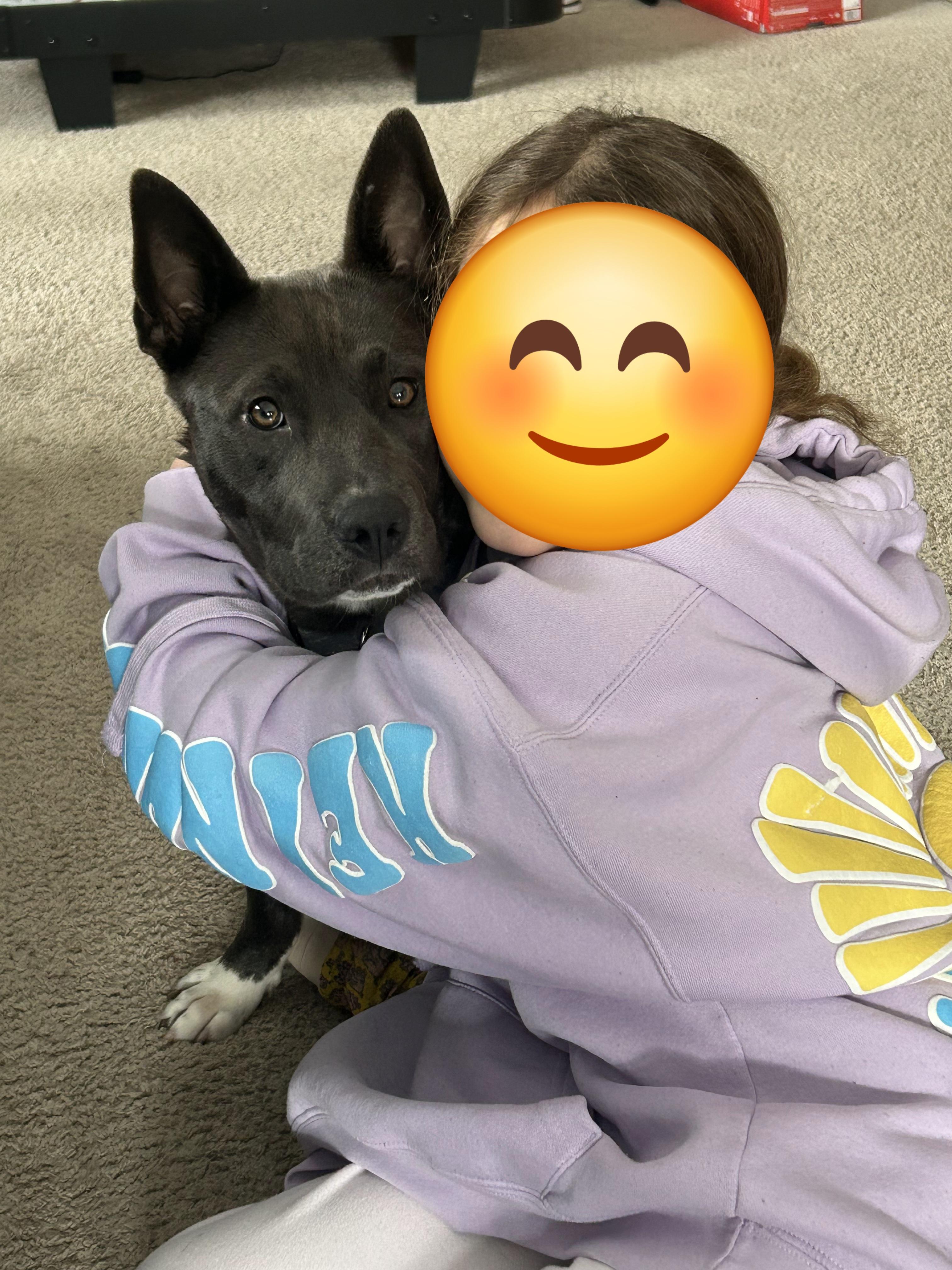 Enlarge Eve, a Adoptable mixed breed in Troy, MI image 3/6