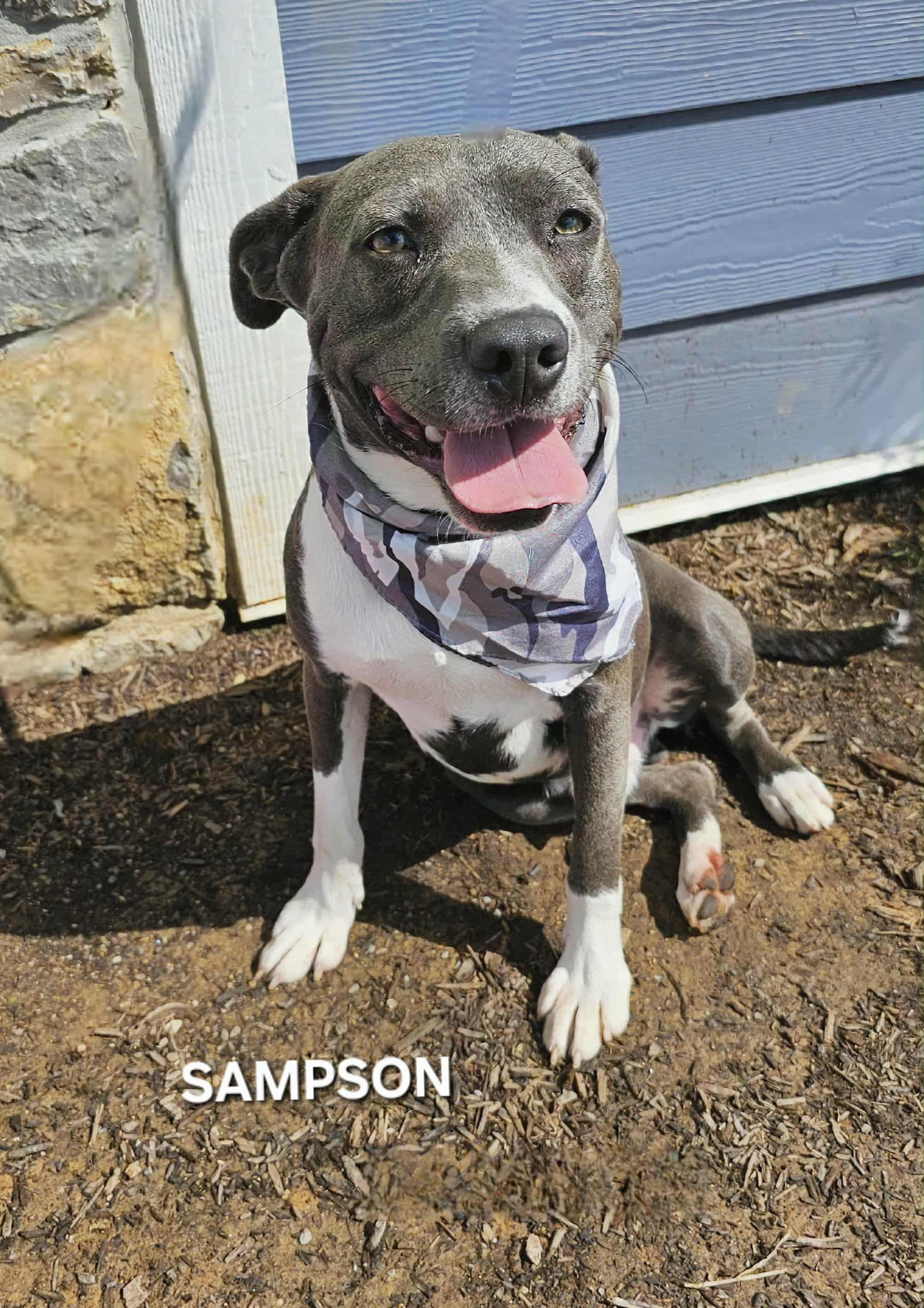 Sampson 2