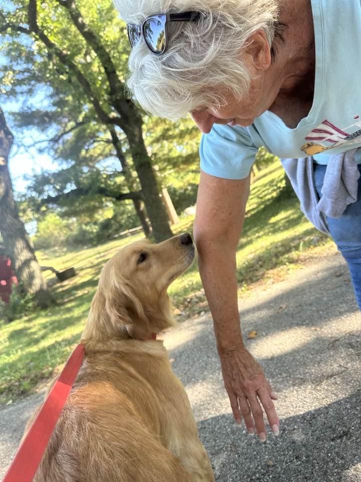 Lucy, an adopted Golden Retriever in Oregon, WI image 2/5