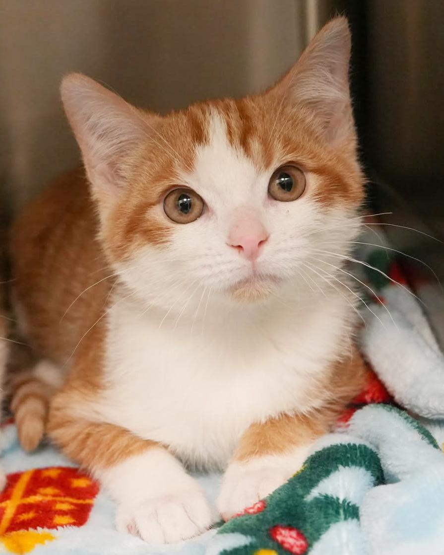 George George George!  thumbnail 3