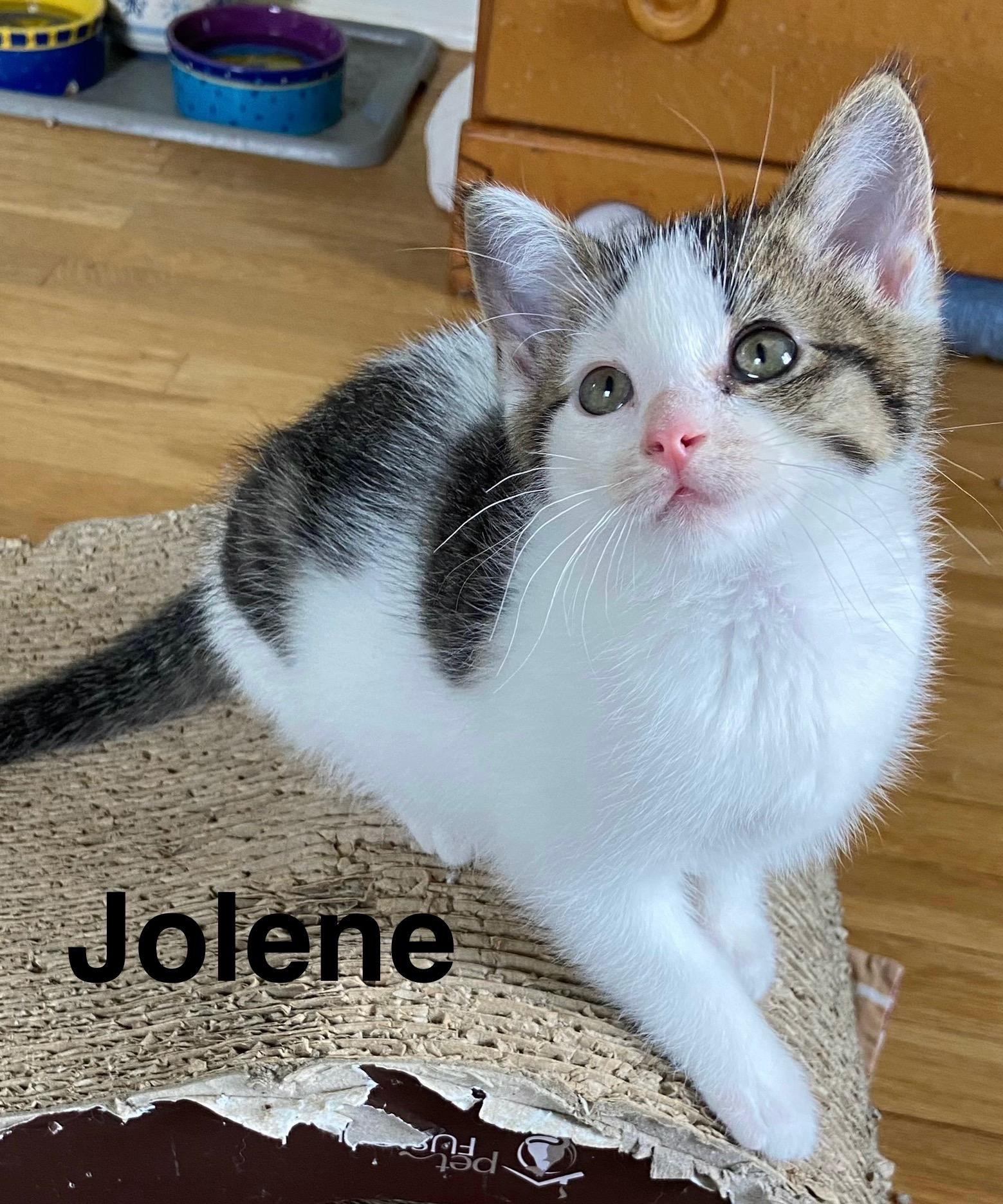 Jolene photo 2