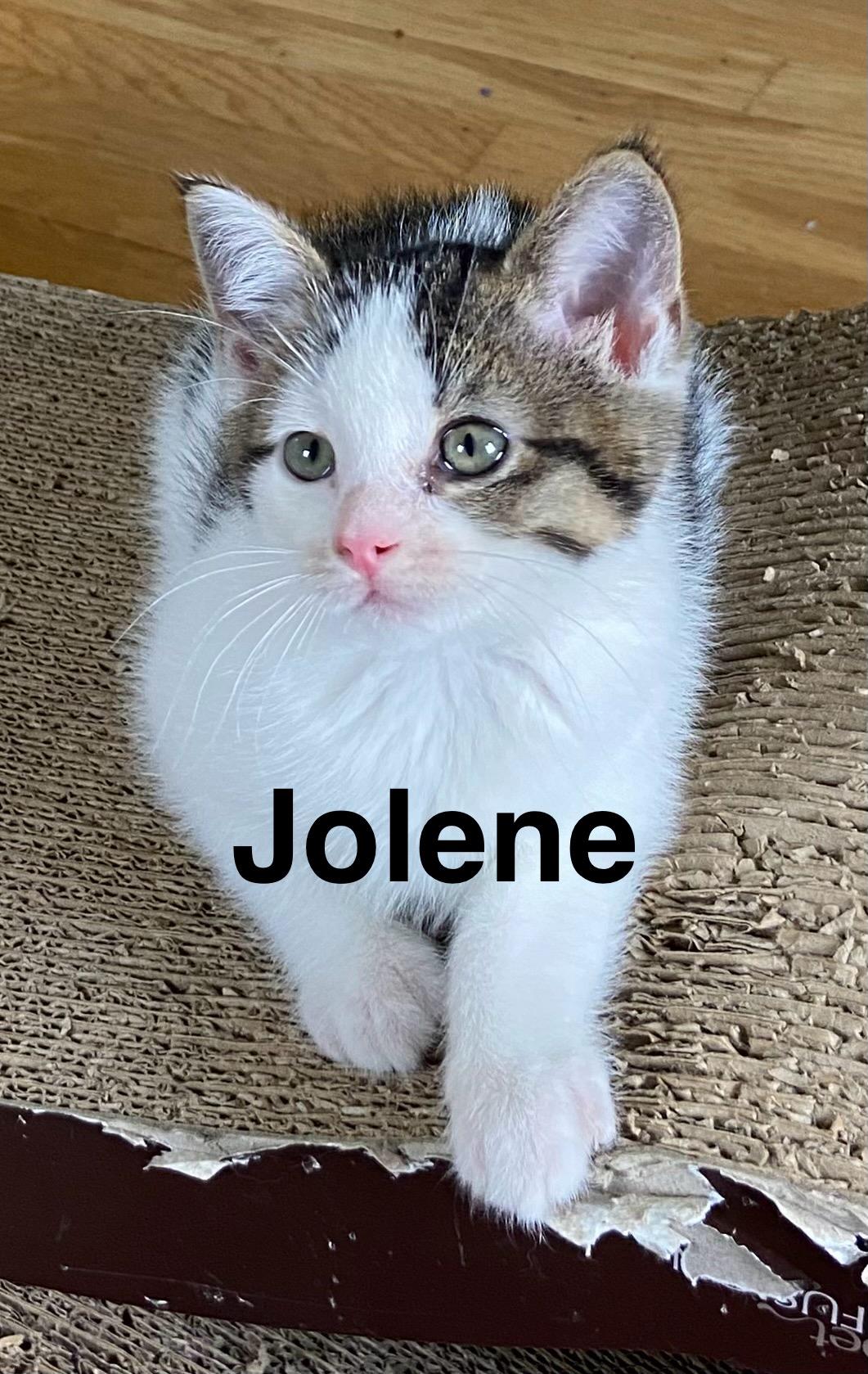 Jolene photo 3