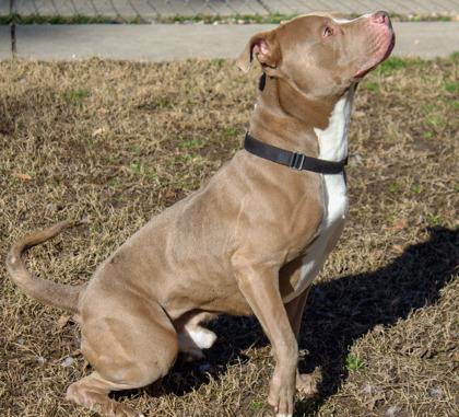 Cash FKA Quagmire — thumbnail 3