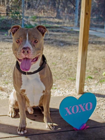 Cash FKA Quagmire — thumbnail 4