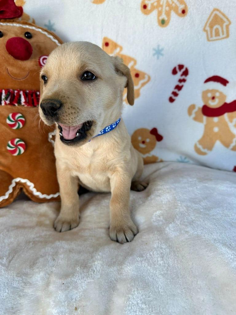 March Gentry thumbnail 2