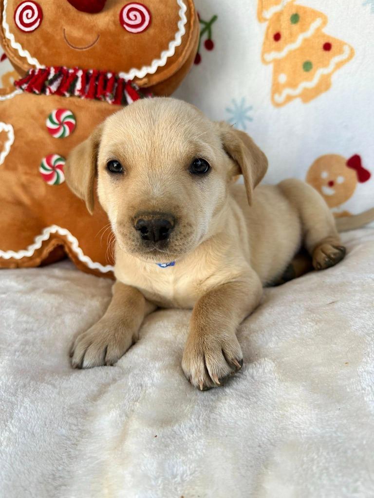 March Gentry thumbnail 7