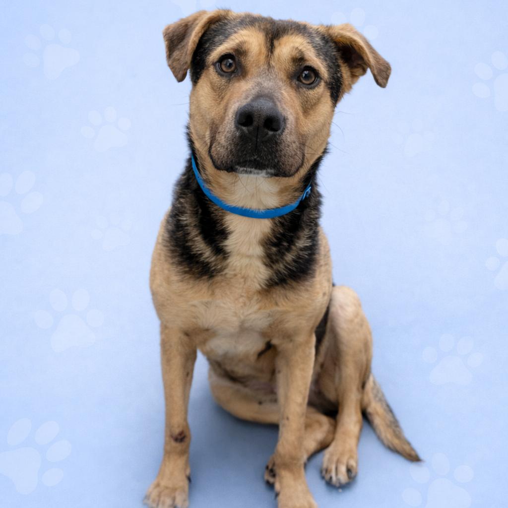 Ridge — thumbnail 3