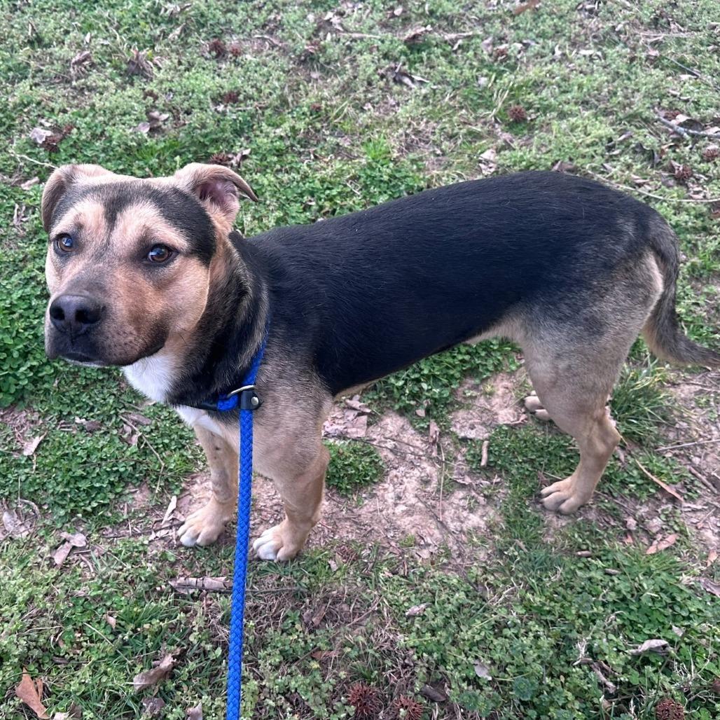 Ridge — thumbnail 4