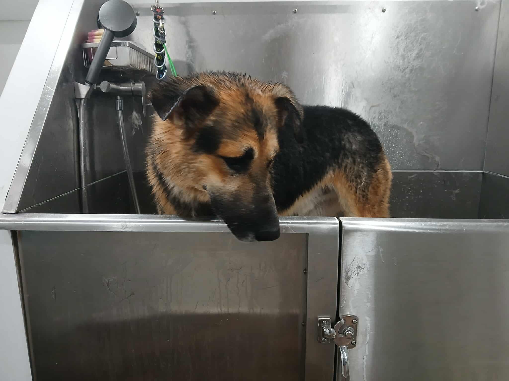 JAGER — thumbnail 4