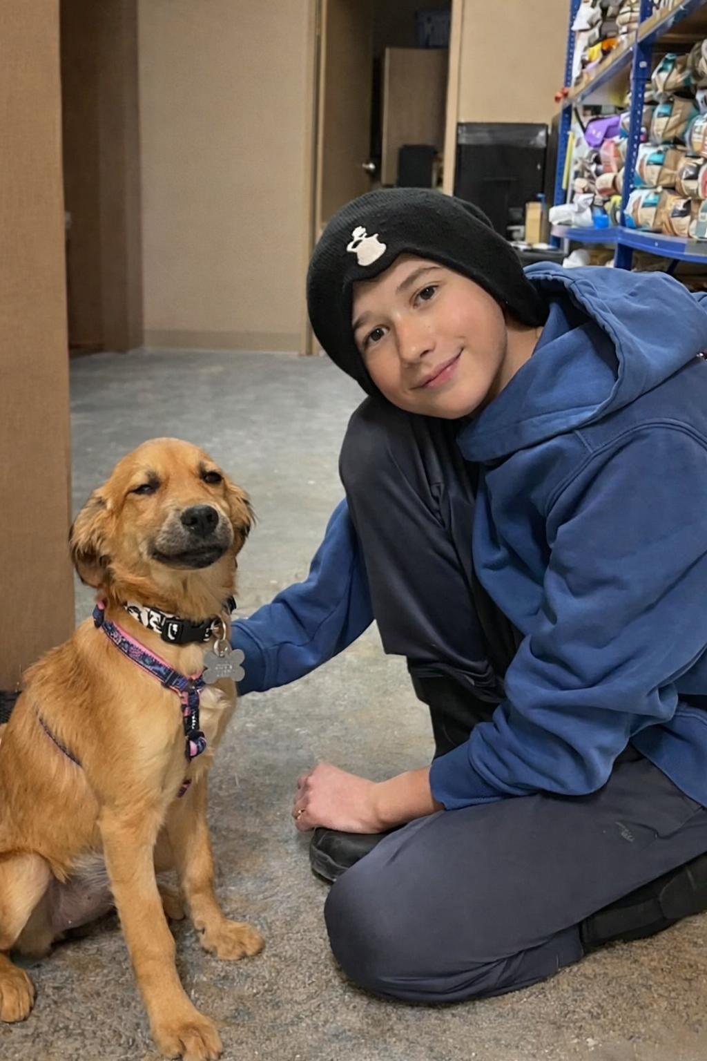 Butters 4457, Adopted, Puppy Female Spaniel & Labrador Retriever.