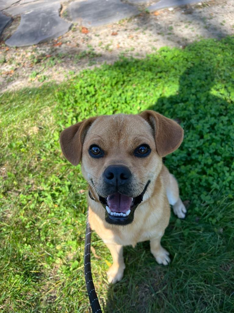 Jekyll photo