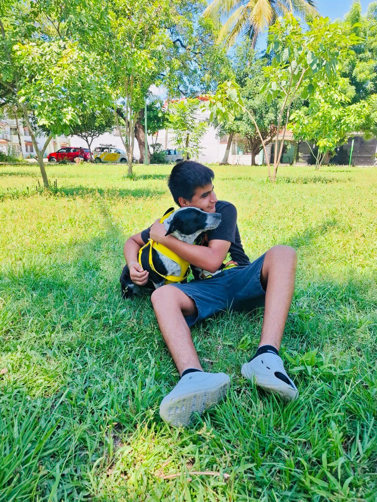 Enlarge Popeya, a Adoptable mixed breed in Vancouver, BC image 3/6