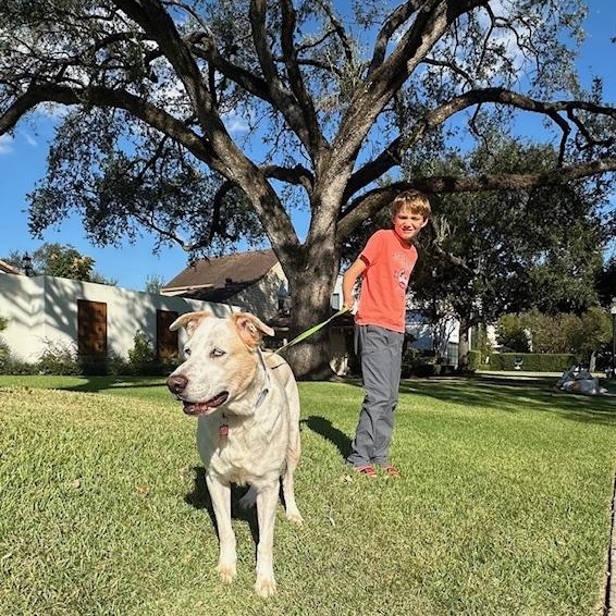 Enlarge Mabeline – Gentle, Sweet & Loving!  Great w/dogs, people & Kids!, a Adopted mixed breed in Roanoke, VA image 6/6